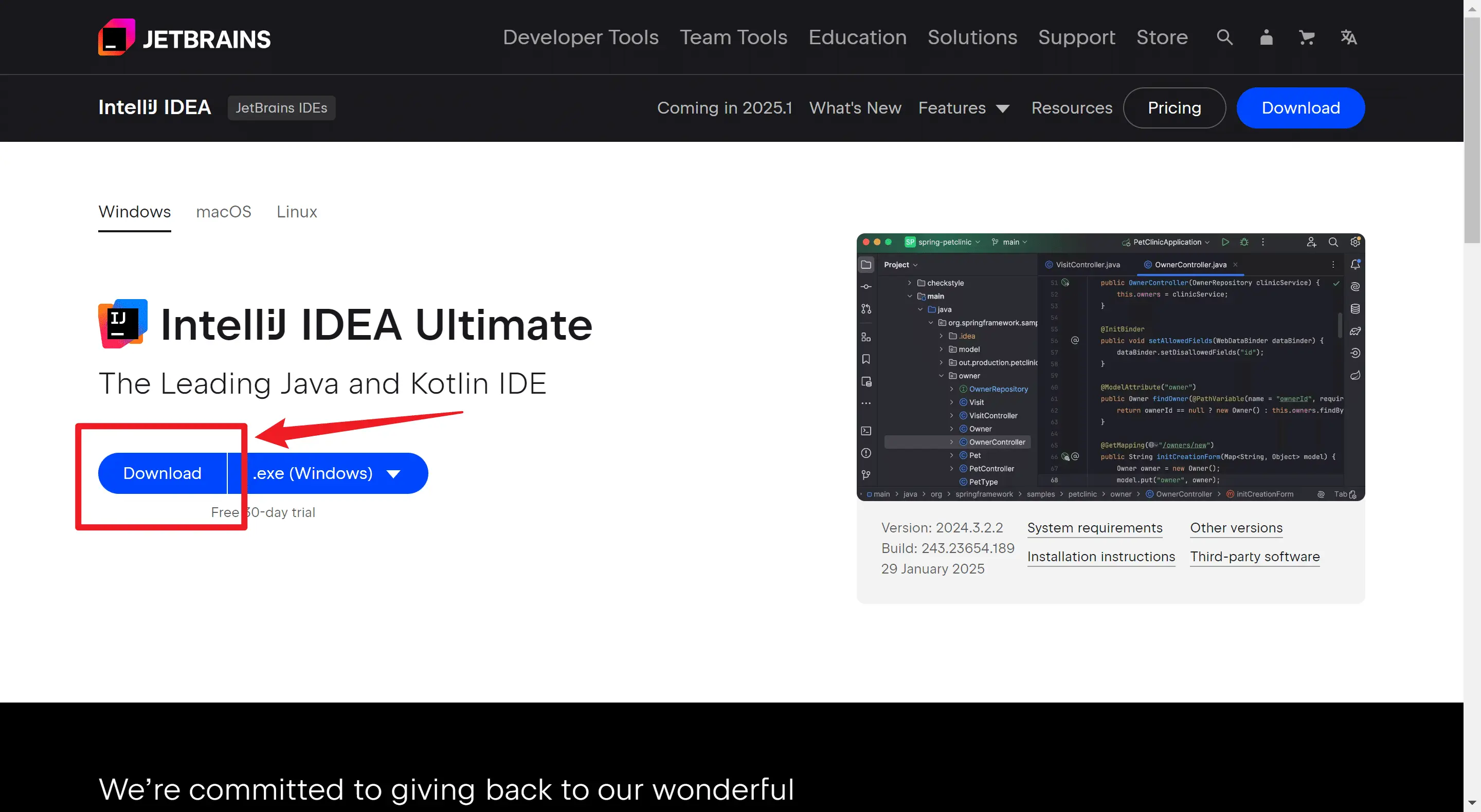 IDEA2024.3.2最新破解教程（2025年2月最新更新）